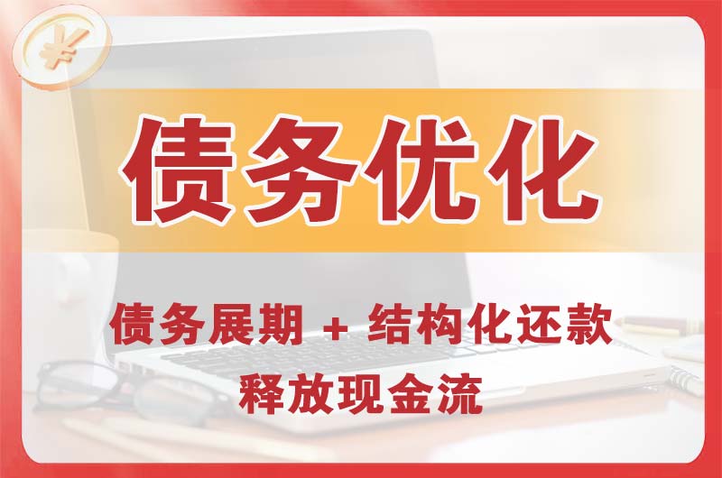 沙雅债务优化